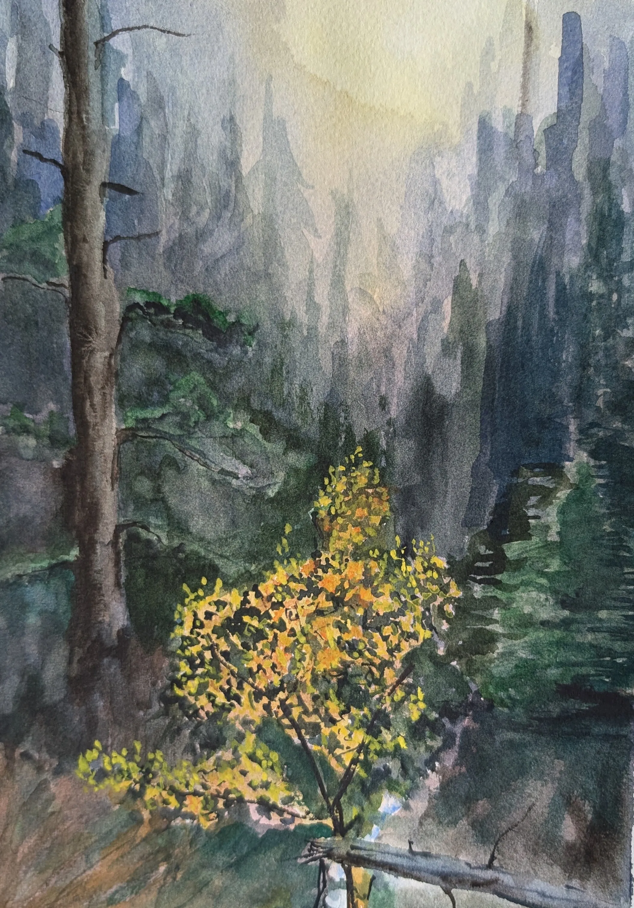 A watercolor of a misty forested valley with a small yellow-leaved tree in the foreground.