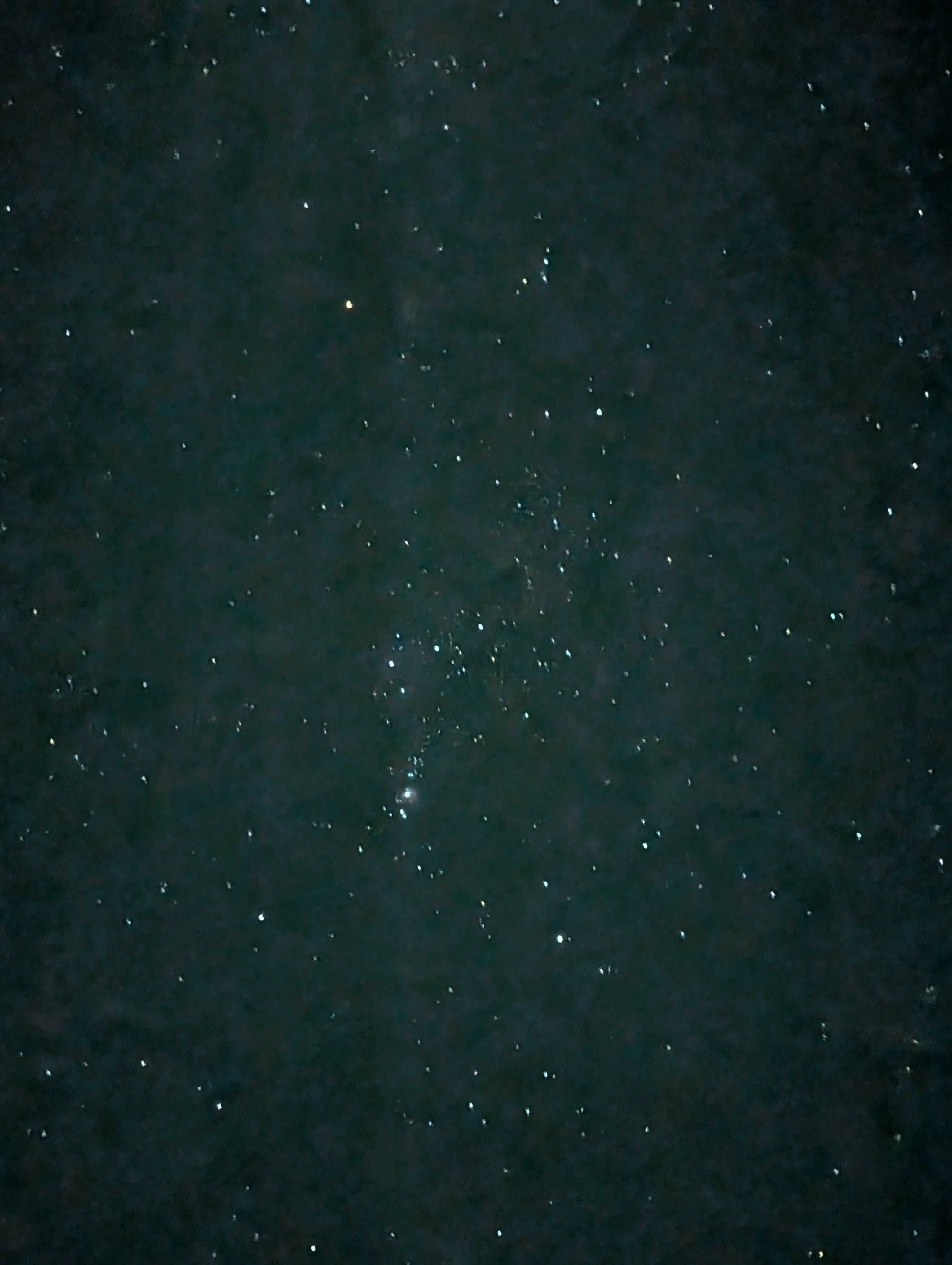 Orion Nebula (M42)